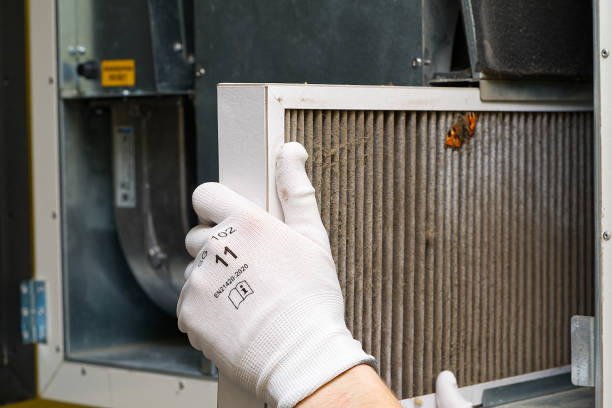 Air Duct Mold Removal in West Bountiful, UT